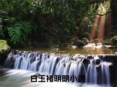 白玉褚明朗(白玉褚明朗)全文阅读无弹窗大结局-白玉褚明朗小说结局免费阅读_笔趣阁（白玉褚明朗）