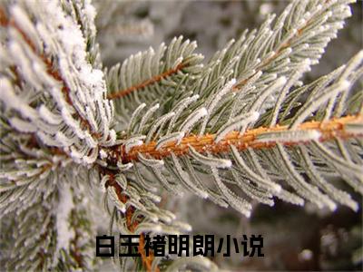 白玉褚明朗免费小说（白玉褚明朗）小说免费阅读无弹窗大结局_白玉褚明朗小说全集最新章节列表_笔趣阁(白玉褚明朗)