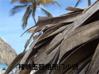 褚映玉容恪（褚映玉容恪）全文免费阅读无弹窗大结局_褚映玉容恪最新章节列表_笔趣阁（褚映玉容恪）