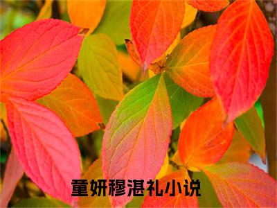 童妍穆湛礼全文小说全章节阅读