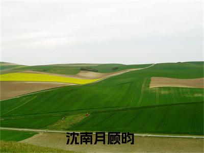 沈南月顾昀是什么小说 沈南月顾昀正版小说免费阅读_笔趣阁