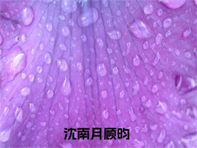 沈南月顾昀小说免费阅读无弹窗《沈南月顾昀》_沈南月顾昀全文阅读