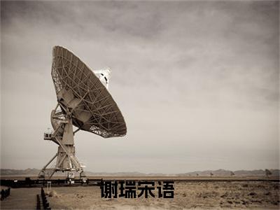 谢瑞宋语完整版最新小说大结局-谢瑞宋语最新章节免费阅读