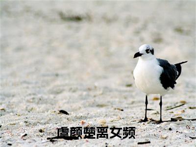虞颜楚离（虞颜楚离）全文免费阅读无弹窗大结局_虞颜楚离全文免费阅读_笔趣阁（虞颜楚离）