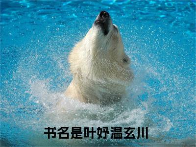 叶妤温玄川（叶妤温玄川）全文免费阅读无弹窗大结局_ (叶妤温玄川小说免费阅读)最新章节列表_笔趣阁（叶妤温玄川）