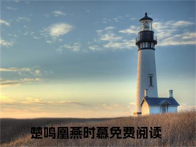 楚鸣凰燕时慕(楚鸣凰燕时慕)全文阅读无弹窗大结局_楚鸣凰燕时慕免费阅读无弹窗最新章节列表