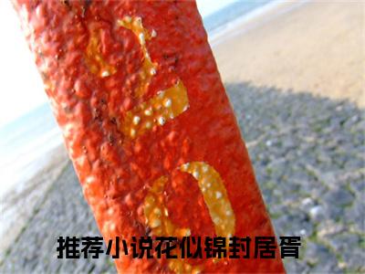 花似锦封居胥小说（花似锦封居胥）最新章节阅读-小说（花似锦封居胥）已完结全集大结局