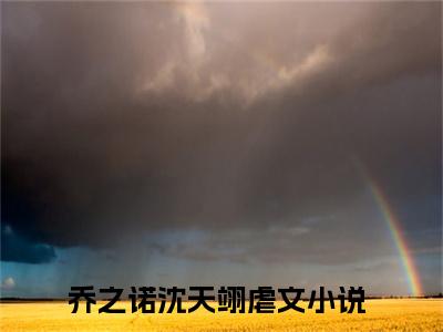 乔之诺沈天翊全文阅读-乔之诺沈天翊小说免费阅读大结局