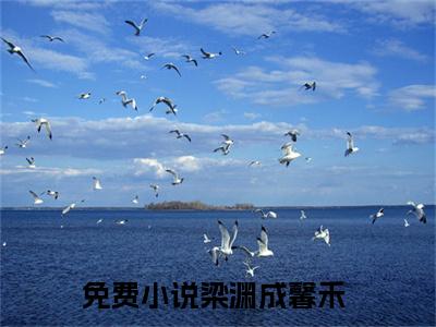 梁渊成馨禾是什么小说，梁渊成馨禾（梁渊成馨禾）完整章节在线阅读