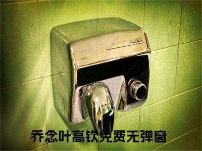 （乔念叶高钦）全文免费阅读无弹窗大结局_乔念叶高钦最新章节列表_笔趣阁