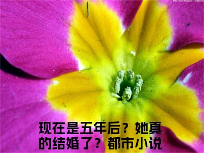 陆翰山乐艳现在是五年后？她真的结婚了？最新章节免费阅读现在是五年后？她真的结婚了？小说最新章节