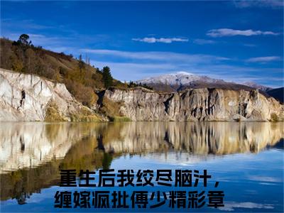 傅云舟沈梨（重生后我绞尽脑汁，缠嫁疯批傅少全章节完整版）免费阅读_（重生后我绞尽脑汁，缠嫁疯批傅少）傅云舟沈梨全文无删减免费阅读