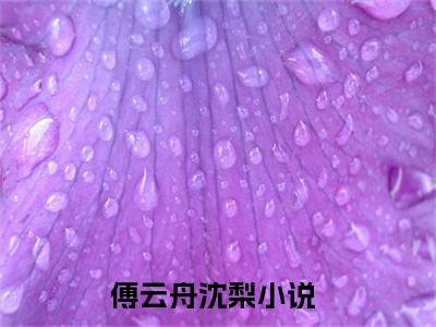 傅云舟沈梨（重生后我绞尽脑汁，缠嫁疯批傅少）全文免费阅读-小说傅云舟沈梨大结