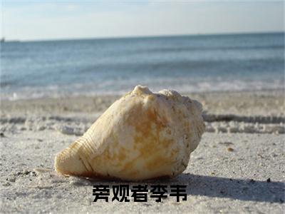 旁观者李韦新上热文小说（旁观者李韦）讲的是什么-旁观者李韦全文完整版免费阅读