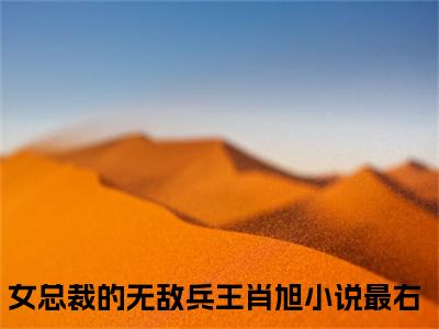 女总裁的无敌兵王肖旭全集完整版大结局-女总裁的无敌兵王肖旭小说在线赏析