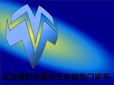 女总裁的无敌兵王肖旭免费完本小说 女总裁的无敌兵王肖旭精彩章节在线阅读