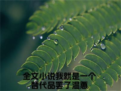 我就是一个替代品罢了温蕙精选热门小说无弹窗-我就是一个替代品罢了温蕙在线赏析