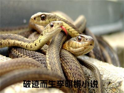 破迹而生李明镜完本小说全集阅读-（破迹而生李明镜）主角的小说是什么名字