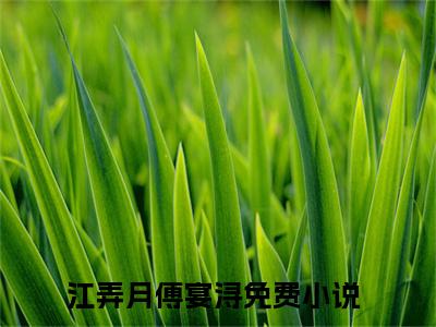 江弄月傅宴浔已完结小说全集阅读（江弄月傅宴浔完整版大结局）江弄月傅宴浔小说全文阅读笔趣阁
