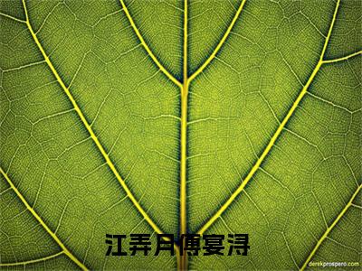 江弄月傅宴浔小说全文免费阅读，江弄月傅宴浔最新章节
