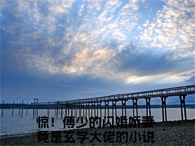 惊！傅少的闪婚娇妻竟是玄学大佬在线阅读（叶夕瑶傅时寒）全文免费阅读无弹窗大结局