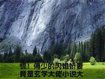 叶夕瑶傅时寒高甜小说最新章节-惊！傅少的闪婚娇妻竟是玄学大佬全文阅读