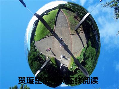 热门小说推荐贺璇楚倪翊风-贺璇楚倪翊风全文免费大结局
