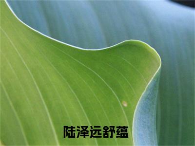 百分爆评热文陆泽远舒蕴_陆泽远舒蕴小说无弹窗在线阅读