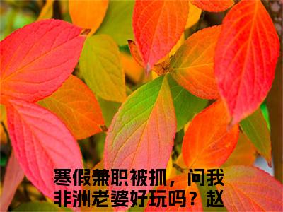 寒假兼职被抓，问我非洲老婆好玩吗？赵恒（寒假兼职被抓，问我非洲老婆好玩吗？赵恒全章节完整版）免费阅读-寒假兼职被抓，问我非洲老婆好玩吗？赵恒全文无删减阅读