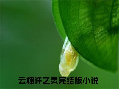 云栩许之灵是什么小说-云栩许之灵全文免费阅读无弹窗大结局（云栩许之灵）最新章节阅读