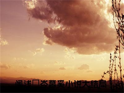 主角为闻浅婼岑慕奚的小说叫什么-最新小说全文阅读