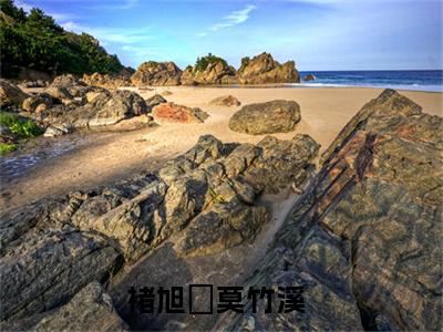 褚旭瑄莫竹溪全文（褚旭瑄莫竹溪）全文免费阅读无弹窗大结局_褚旭瑄莫竹溪最新章节列表_笔趣阁（褚旭瑄莫竹溪）