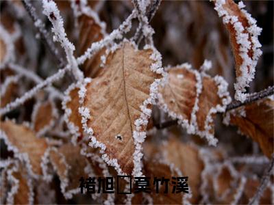 褚旭瑄莫竹溪（褚旭瑄莫竹溪）全章节完整版《褚旭瑄莫竹溪》全文阅读TXT《褚旭瑄莫竹溪》