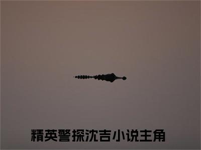 (番外)+(全文)精英警探沈吉全文+番外小说免费下载阅读精英警探沈吉全文+番外小说最新章节列表_笔趣阁（精英警探沈吉全文+番外）