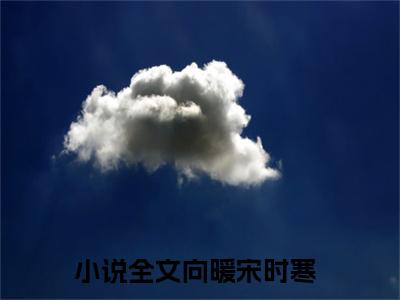 向暖宋时寒（向暖宋时寒）全文免费阅读无弹窗大结局-（向暖宋时寒免费阅读全文大结局）最新章节