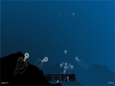 向暖宋时寒的书名全文免费最后一章在线阅读 向暖宋时寒全文小说完整版
