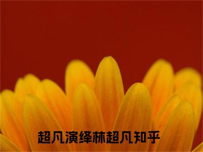 超凡演绎林超凡小说（超凡演绎林超凡）全文免费阅读无弹窗_超凡演绎林超凡小说最新章节免费阅读_笔趣阁