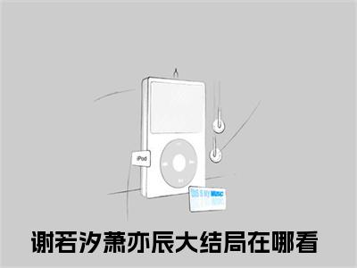 谢若汐萧亦辰（不负春光不负卿）小说精彩免费内容_谢若汐萧亦辰最新章节全文阅读（不负春光不负卿）