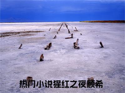 猩红之夜顾希（猩红之夜顾希）全文免费阅读_猩红之夜顾希最新章节列表_笔趣阁