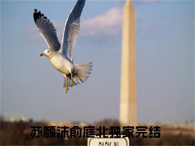 苏颜沫俞庭北抖音新书热门热荐- 苏颜沫俞庭北小说在线观看