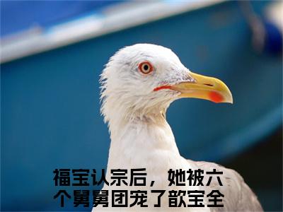 福宝认宗后，她被六个舅舅团宠了歆宝全文小说（福宝认宗后，她被六个舅舅团宠了歆宝）全文阅读-福宝认宗后，她被六个舅舅团宠了歆宝在线小说免费阅读