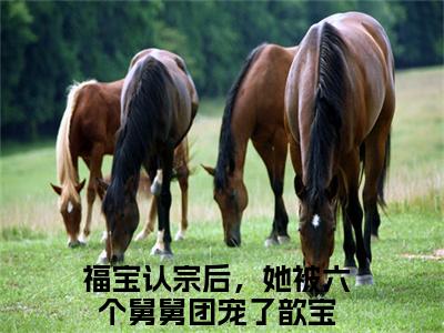 福宝认宗后，她被六个舅舅团宠了歆宝小说在线阅读(福宝认宗后，她被六个舅舅团宠了歆宝)_福宝认宗后，她被六个舅舅团宠了歆宝小说最新章节