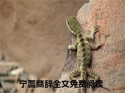 宁蕊商辞小说在线阅读(宁蕊商辞)_宁蕊商辞小说最新章节