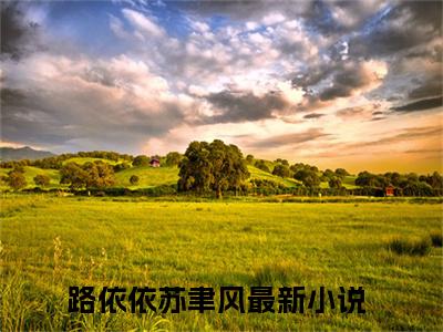路依依苏聿风全文免费阅读无弹窗大结局_（81192  警号已封存，此生再也无法重启阅读无弹窗）81192  警号已封存，此生再也无法重启最新章节列表