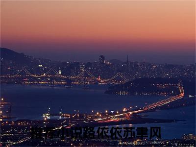 81192  警号已封存，此生再也无法重启是什么小说，81192  警号已封存，此生再也无法重启（路依依苏聿风）完整章节在线阅读
