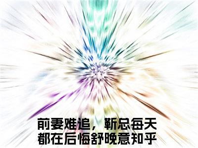 前妻难追，靳总每天都在后悔舒晚意(前妻难追，靳总每天都在后悔舒晚意)全文免费阅读无弹窗大结局-前妻难追，靳总每天都在后悔舒晚意全文无弹窗免费阅读