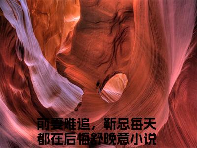 前妻难追，靳总每天都在后悔舒晚意小说（前妻难追，靳总每天都在后悔舒晚意）全文免费阅读无弹窗大结局-前妻难追，靳总每天都在后悔舒晚意最新热点小说