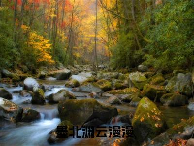 禀告王爷，王妃只想种田养崽崽小说全文免费阅读-墨北渊云漫漫在线阅读的小说完整版