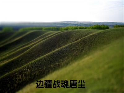 边疆战魂（唐尘全文免费阅读）无弹窗-边疆战魂（唐尘）完整版在线赏析笔趣阁