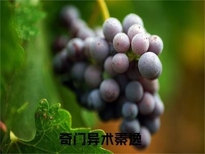 奇门异术秦逸精彩热门小说_奇门异术秦逸小说全文免费阅读_最新章节列表_笔趣阁